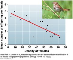 Graph showing density-dependent reduction in offspring in sparrows