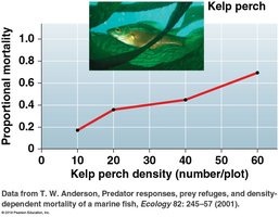 Graph showing density-dependent mortality in kelp perch