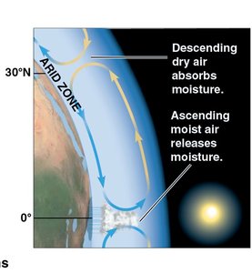 Global air circulation and precipitation patterns
