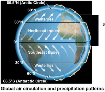 Global wind patterns