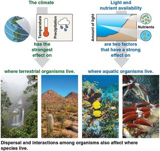Overview of ecological factors and organism distribution