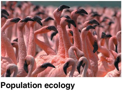 Population ecology example