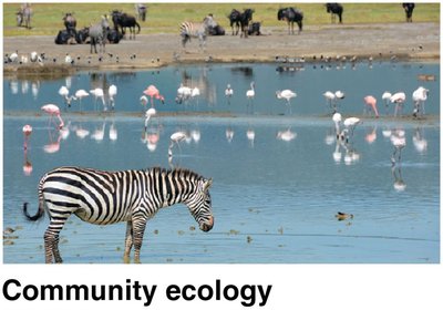 Community ecology example