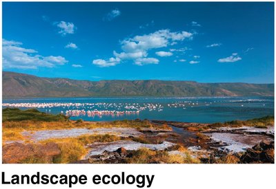 Landscape ecology example