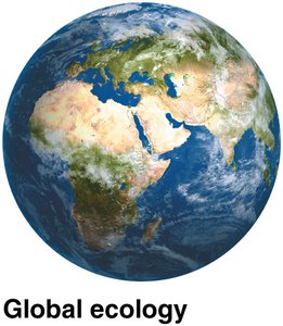 Global ecology example