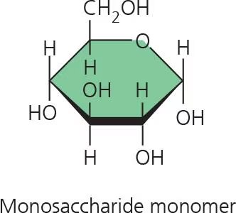 Monosaccharide monomer structure