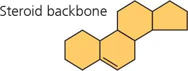 Steroid backbone structure