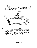 Labeled diagram of grasshopper internal anatomy