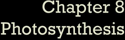Chapter 8 Photosynthesis title slide