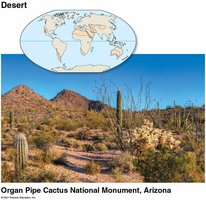 Desert in Arizona