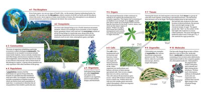Levels of biological organization