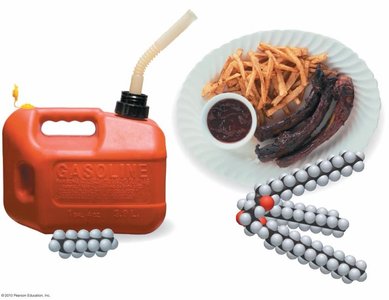 Gasoline and food as hydrocarbons