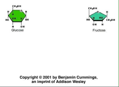 Glucose ring structure
