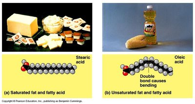 Saturated and unsaturated fat and fatty acid