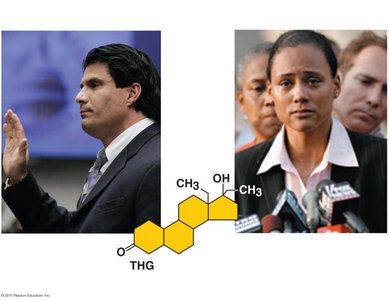 Steroid structure and examples