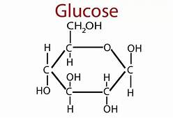 Glucose ring structure