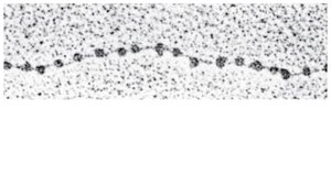 Nucleosome structure