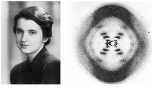 Rosalind Franklin and X-ray diffraction of DNA