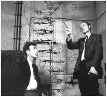 Watson and Crick with DNA model