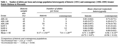 Table comparing number of alleles and heterozygosity in historic and contemporary prairie chicken populations