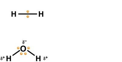 Nonpolar covalent bond in H2 and polar covalent bond in H2O