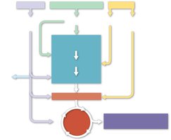 Entry points of macromolecules into cellular respiration