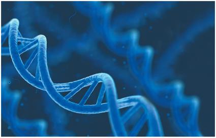 DNA double helix