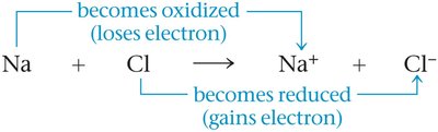 Redox reaction: sodium and chlorine