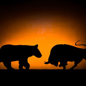 Origins of animal diversity