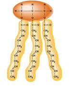Unsaturated fat: kinked fatty acid tails