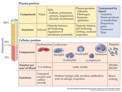 Blood components and hematocrit