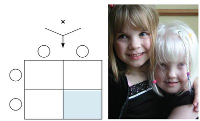 Punnett square for albinism