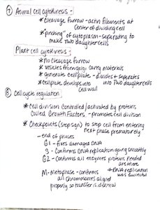 Handwritten notes on cytokinesis and cell cycle regulation
