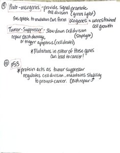 Handwritten notes on proto-oncogenes, tumor suppressors, and p53