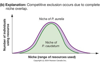 Graph showing asymmetric and symmetric competition