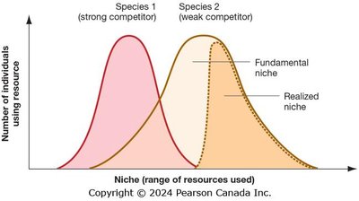 Graph showing niche overlap and competitive exclusion