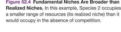 Experimentally testing fundamental vs realized niche with barnacles