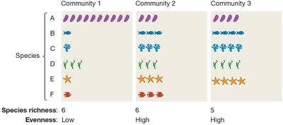 Illustration of a biological community