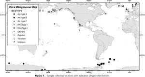 Orca mitogenome map