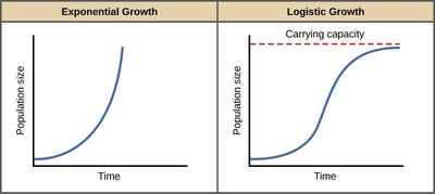 Exponential vs. Logistic Growth