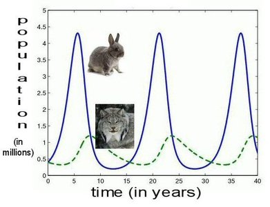 Predator-prey population cycles