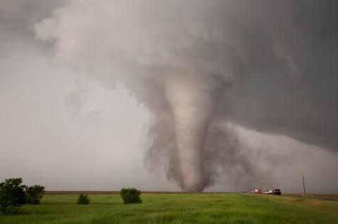 Tornado as a density-independent factor