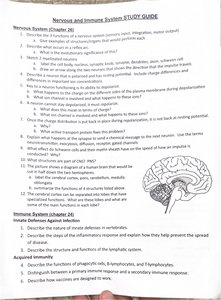 Diagram of the human brain