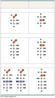 Aldoses and ketoses: examples of monosaccharides