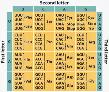Standard genetic code table