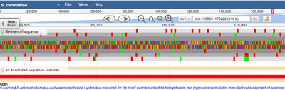 Genome browser showing reading frames and ORFs