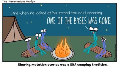 DNA camping cartoon about mutation