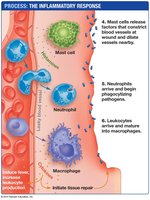 Continuation of the inflammatory response