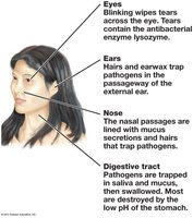 Physical and chemical barriers to infection