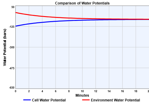 Comparison of water potentials in cell and environment over time